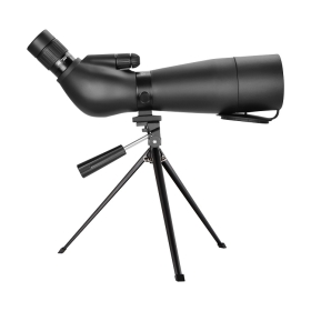 BM-SC31